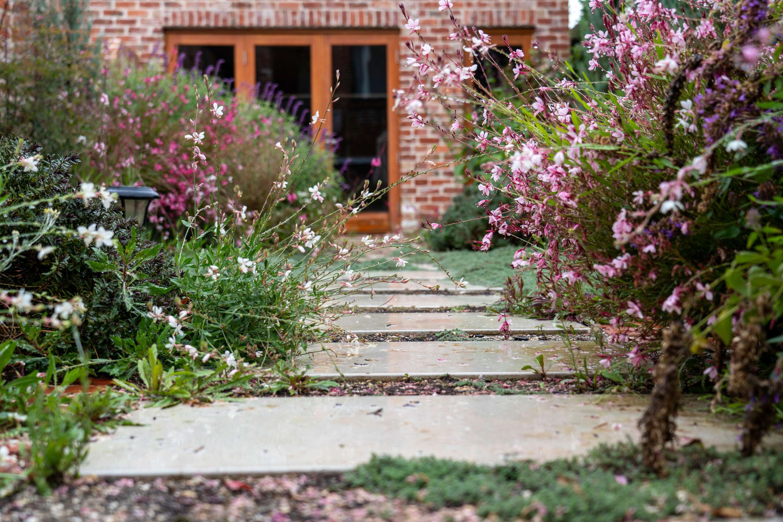 Garden pathway beside a brick home, framed by flowering plants